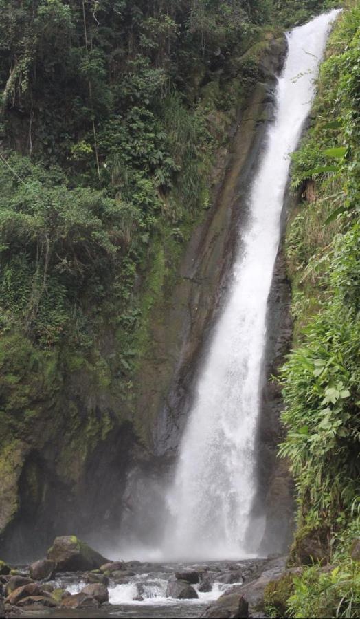 Quinta Los Volcanes Турриальба Экстерьер фото